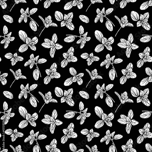  Basil Seamless Pattern. Italian herbs.A sprig of marjoram. Basil is a fragrant and fragrant seasoning. Hand-drawn illustration