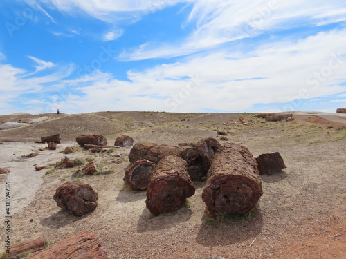 Petrified wood on the trail at Crystal Forest at the Petrified Forest National Park in Arizona.