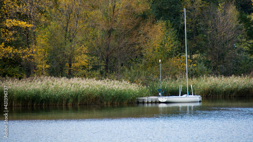 łódka przycumowana przy brzegu jeziora porośniętym szuwarami