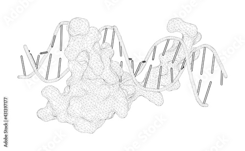 Fotografie 3D rendering as a line drawing of a biological molecule