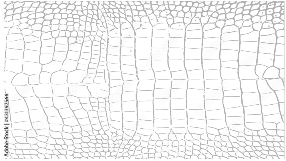 Crocodile Alligator Skin Reptile Snake Texture Pattern Vector Scalable Black White Transparent