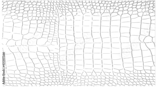 Crocodile Alligator Skin Reptile Snake Texture Pattern Vector Scalable Black White Transparent