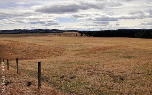 landscape with a fence and grass