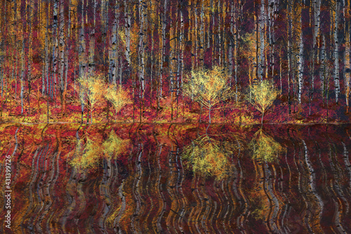 Obraz na płótnie Autumnal landscape in the aspen trees forest w salonie