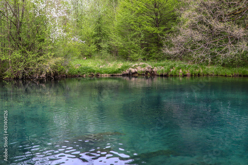 The beautiful turquoise color of the water on Lake Krupajsko in Serbia on a sunny summer day in the forest. National beauty and nature concept
