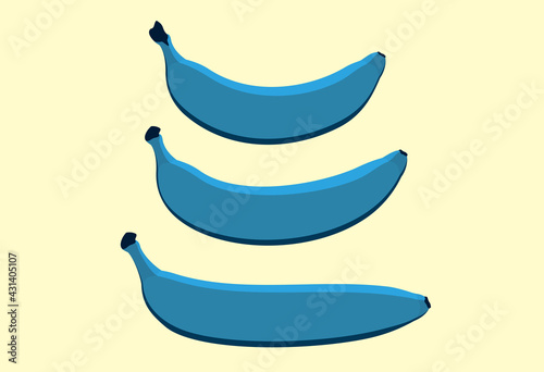 Vector Blue Java Bananas of different shapes. Three ripe bananas drawn in a flat design.