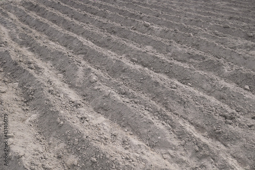 Parallel rows of soft soil for future planting of vegetables