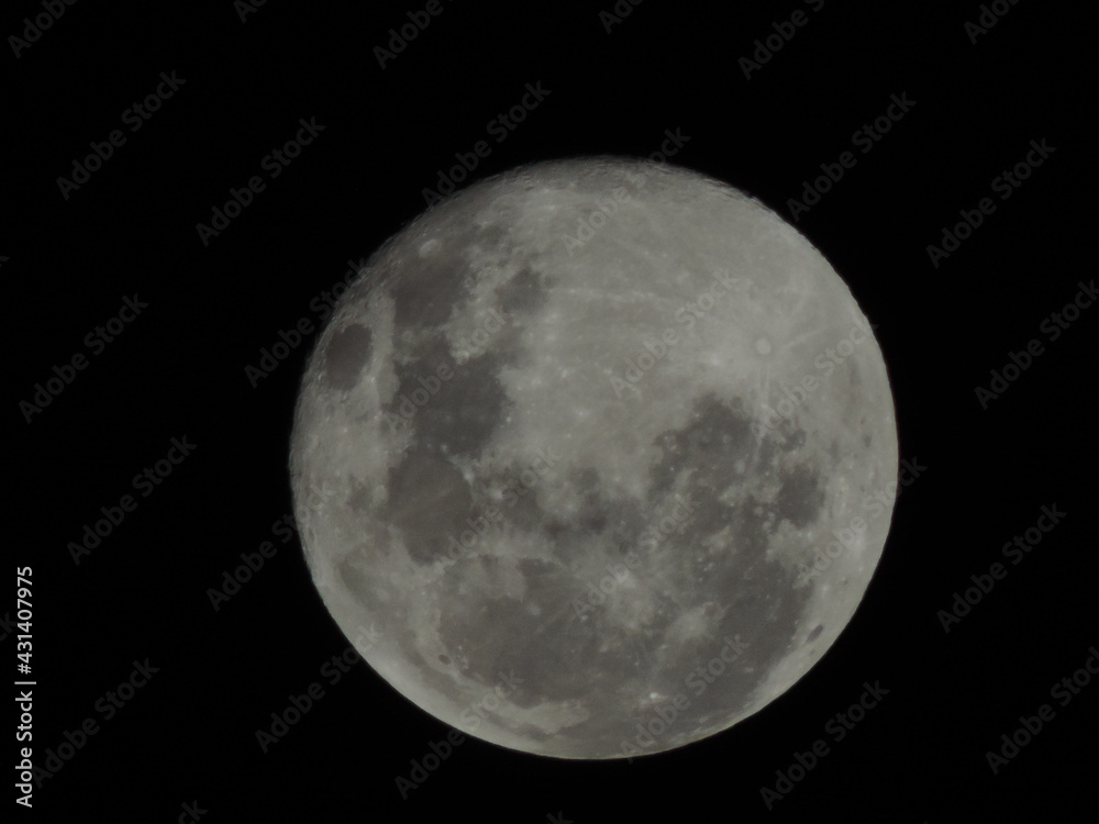 moon moon