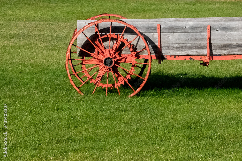 Foto de The ground is covered in vibrant green grass and there's a worn