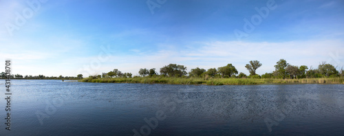 Fototapeta Naklejka Na Ścianę i Meble -  Landscape of water and grass in the Okavango Delta in North of Botswana. The Delta is the biggest sweat water reservoir in this area and the water is absolutely clean