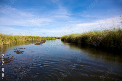 Landscape of water and grass in the Okavango Delta in North of Botswana. The Delta is the biggest sweat water reservoir in this area and the water is absolutely clean