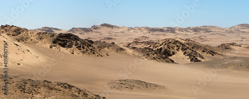 Surreal panorama of the white sand dune sea in the Skeleton Coast  Namibia.