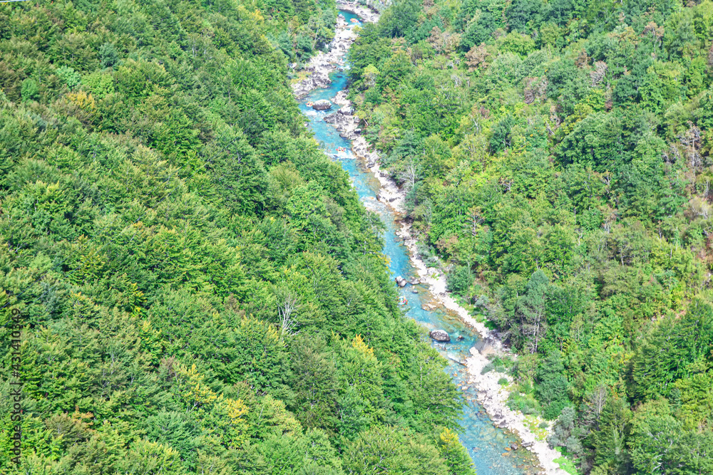 Mountain river surrounded by forest