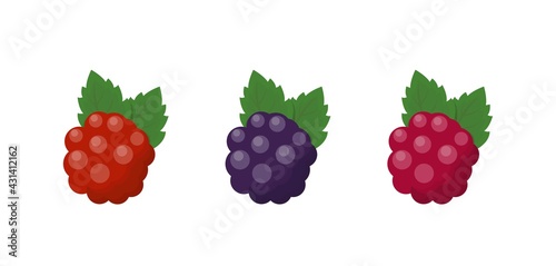 Three colors of raspberries, comic cartoon vector