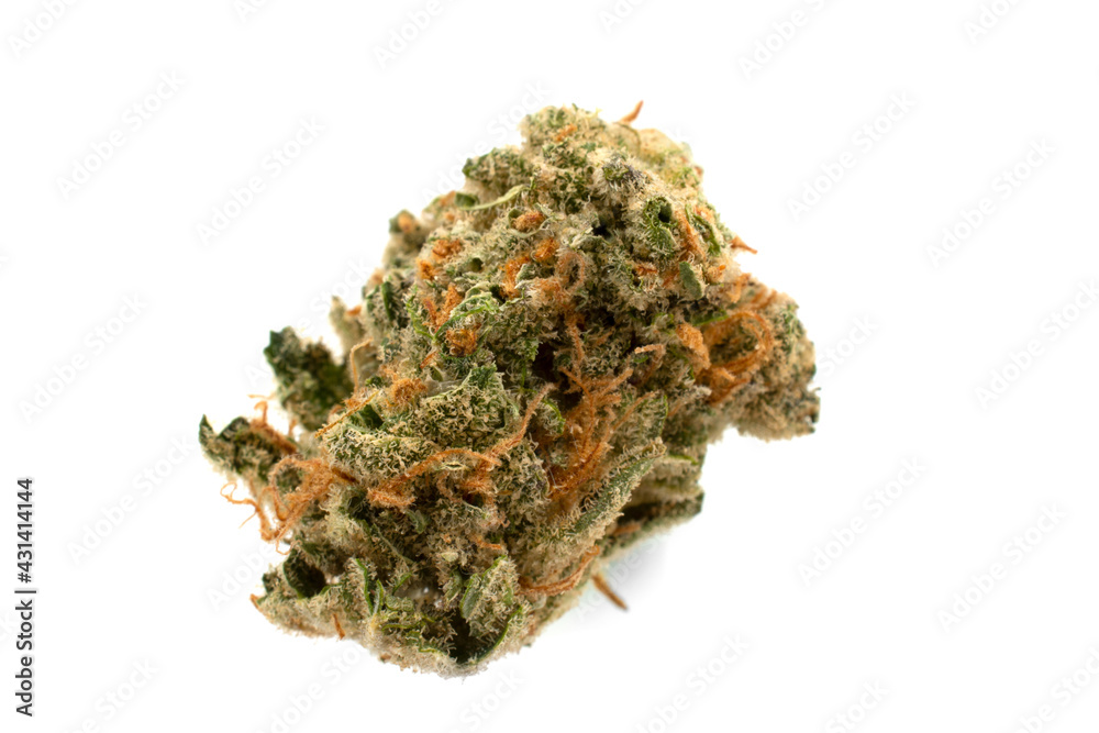 Super Lemon Haze Cannabis flower bud isolated on a white background Super Lemon Haze Cannabis flower bud isolated on a white background