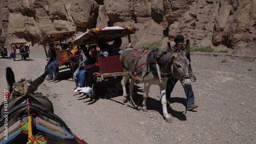 donkey as a main form of transportation in rural area
