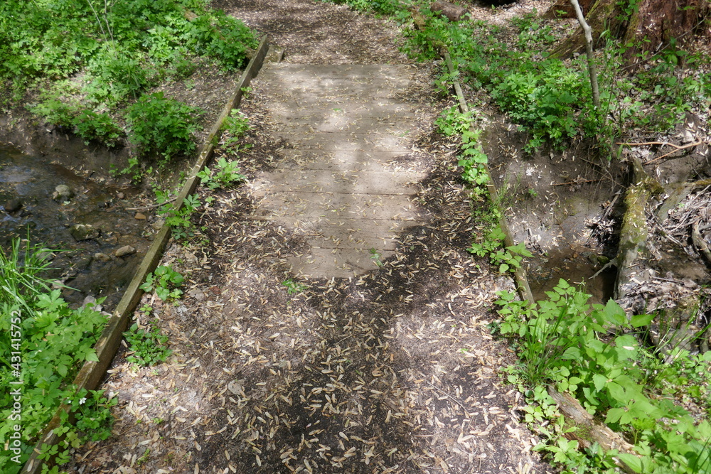 Nature trail bridge crossing creek water with maple tree seed covering Nature trail bridge crossing creek water with maple tree seed covering