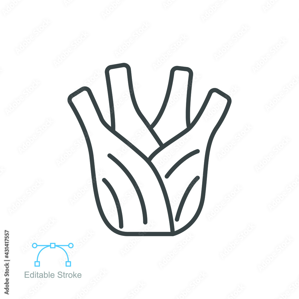 Obraz premium Fennel root icon. Fresh nature bulb, Organic healthy vegetable food. Spicy herbs and spices for natural. outline style. editable stroke. vector illustration. design on white background. EPS 10