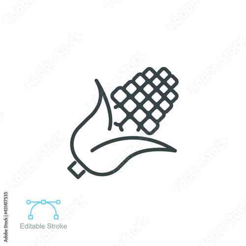 corn cobs icon. nature vegetable food. Vegetarian, vegan, harvest for topics like food, healthy eating, dieting. editable stroke. vector illustration. design on white background. EPS 10
