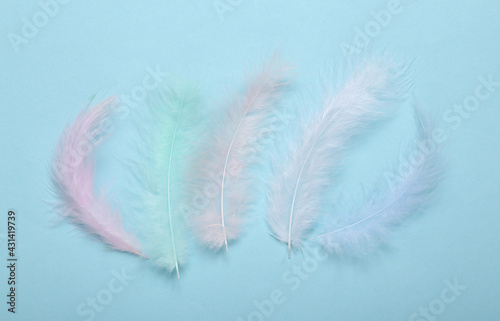 Soft feathers on a blue background. Minimalism. Top view. Flat lay