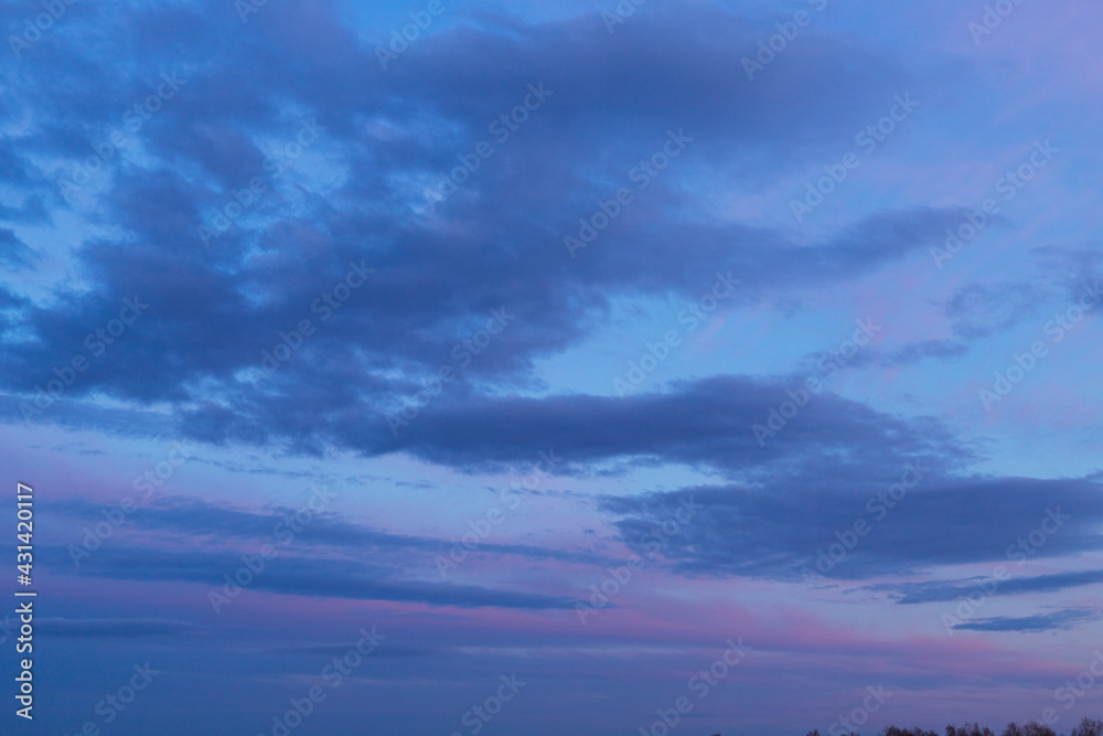 Naklejka premium sunset over the forest. Pink and blue clouds in the sky. watercolour clouds