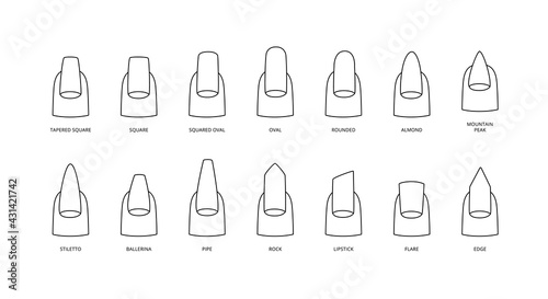 Nail shapes in black line with inscriptions  vector illustration isolated.