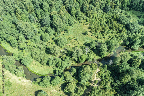 winding river in green forest. picturesque summer landscape in sunny day. aerial view.