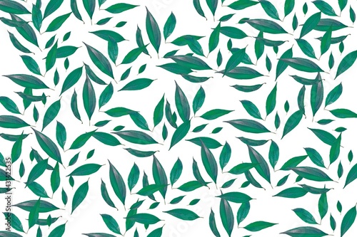 Green leaves pattern natural background on white background. Nature and ecology concept