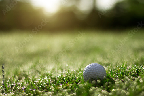 golf ball is on a green lawn in a beautiful golf course