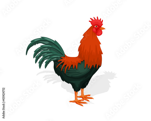 Rooster cock logo vector. Eye catching farm chicken design. vector illustration