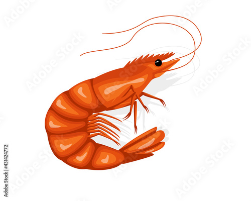 Crayfish brine shrimp circular design. Tasty cuisine restaurant seafood. vector illustration
