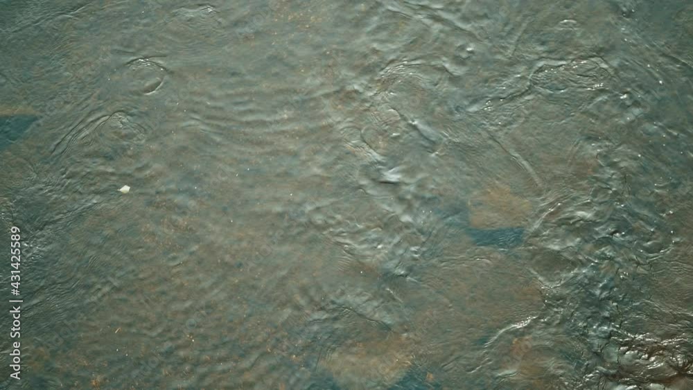 Water flowing in a Calm Stream with leaves, Slow Motion