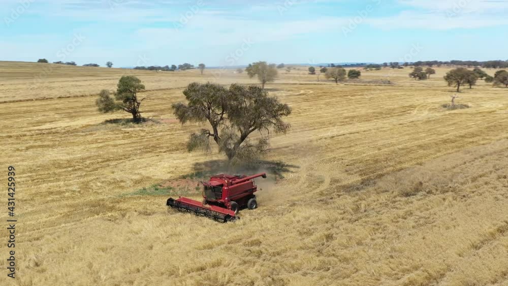 2020 - An excellent aerial shot of a farming combine cutting through a field in Parkes, New South Wales, Australia. 2020 - An excellent aerial shot of a farming combine cutting through a field in Parkes, New South Wales, Australia.