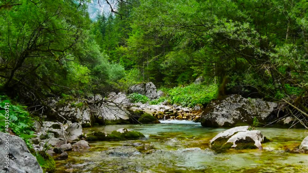 wide angle of small river stream with some big rocks and moss wide angle of small river stream with some big rocks and moss