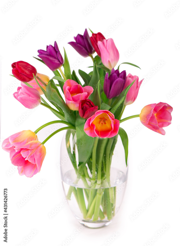 Fototapeta premium Many beautiful colorful tulips with leaves in a glass vase isolated on transparent background. Photo with fresh spring flowers for any festive design