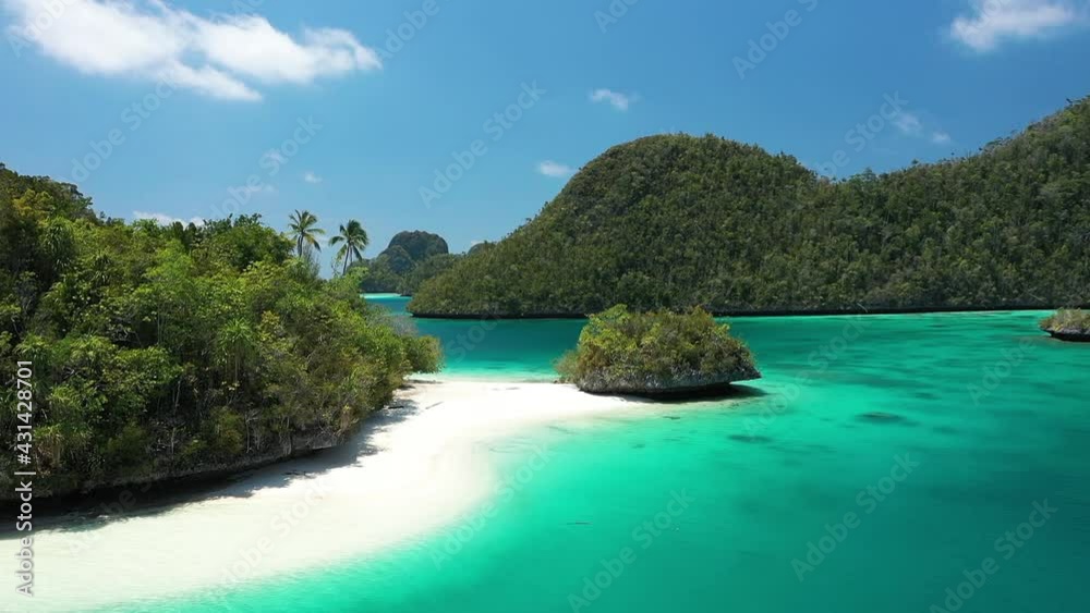2020 - Excellent shot of palm trees and other thick greenery lining the beaches of the Wayag Islands, Raja Ampat, Indonesia.