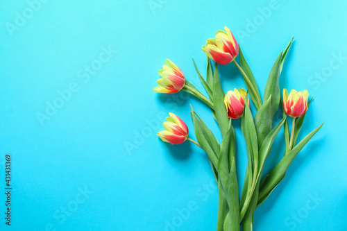 A bouquet of tulips as a gift for March 8, Mother's Day, Valentine's Day. Easter decor. Top view. Copy space. Flowers tulips on a blue background.