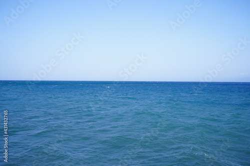 伊豆の海の絶景