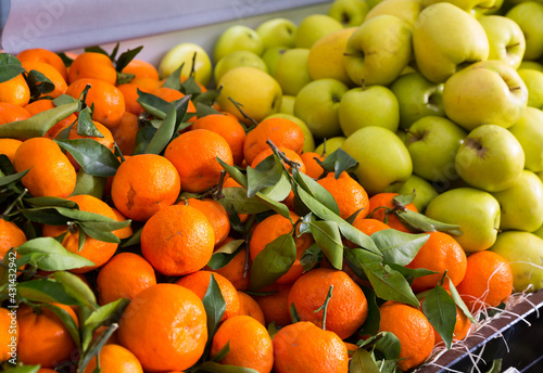 Assortment of fresh mandarins and apples at farmers market