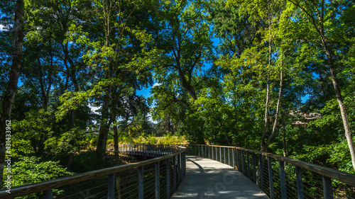 Bridge in Orenco Woods Nature Park, Hillsboro, Oregon photo