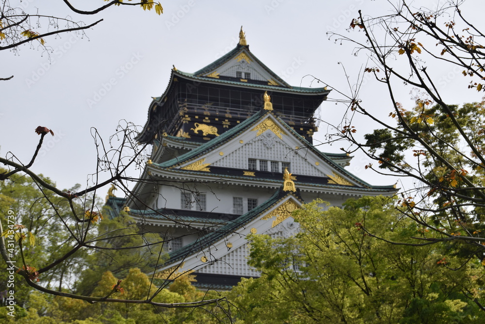 Fototapeta premium 大阪城天守閣