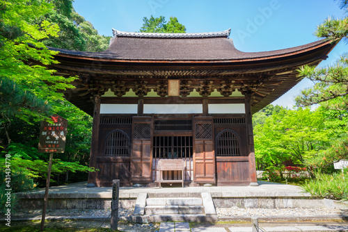京都 一休寺の本堂と新緑