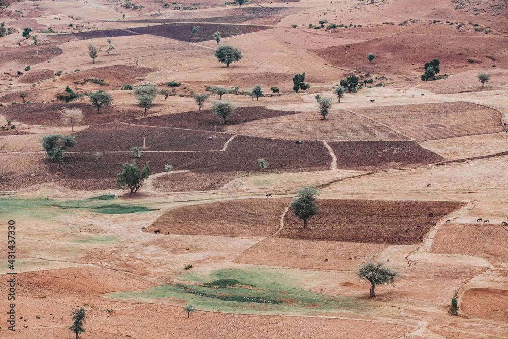 Beautiful agricultural landscape with traditional ethiopian fields near city Gondar, under ruins of Guzara palace. Amhara region. Ethiopia, Africa. - obrazy, fototapety, plakaty 