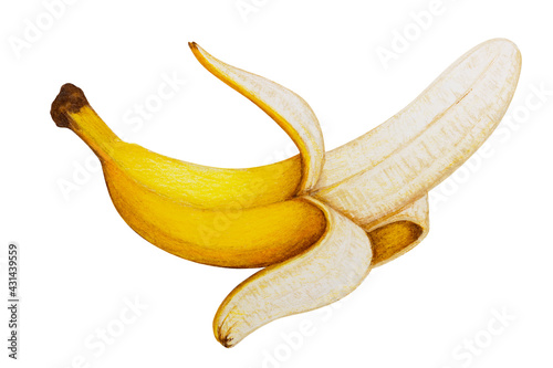Peeled banana painted by colored pencils, isolated on white with clipping path for easy use