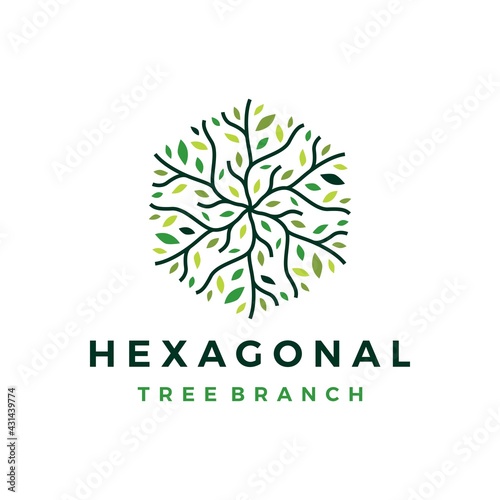 hexagonal tree branch logo vector icon illustration
