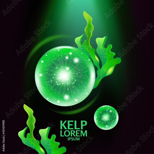 fresh Kelp seaweed salad sea food vector Illustration