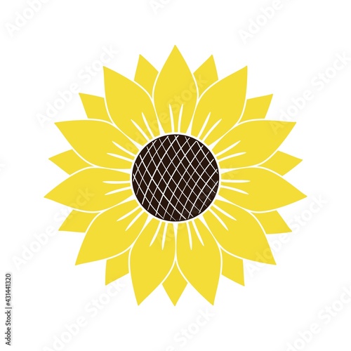 Vector illustration or icon of yellow sunflower isolated on white background. Bright summer flower cutting frame. Silhouette of beautiful sunflower for icon, floral decor, logo, print.