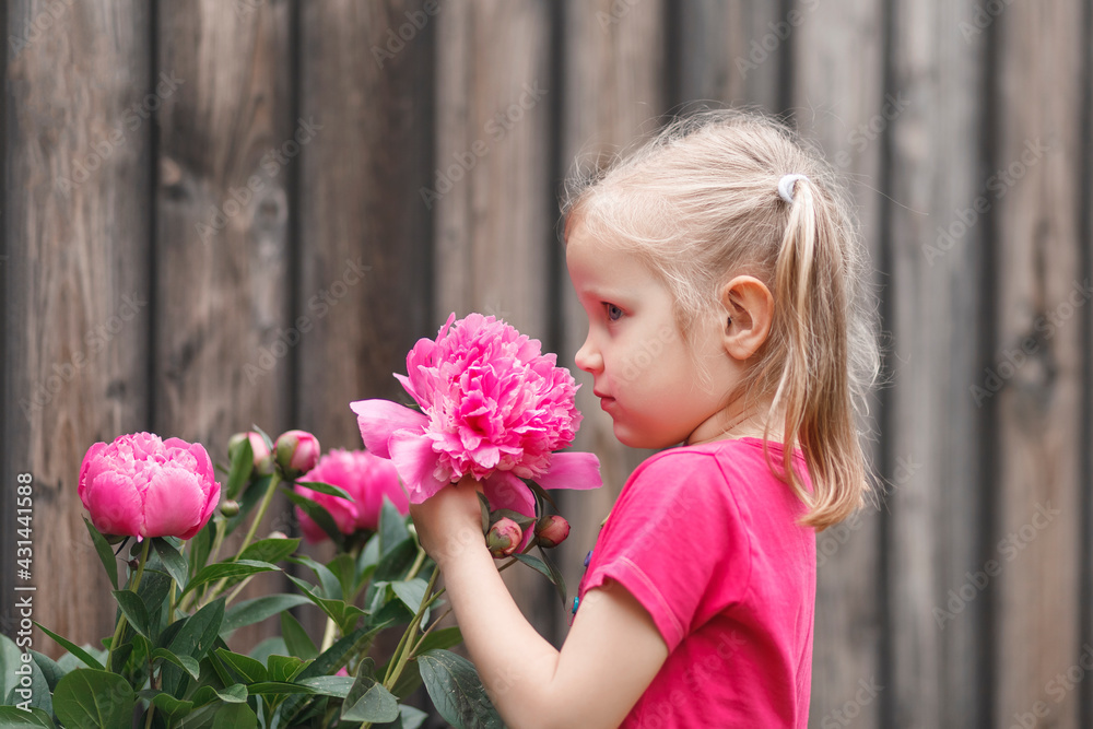 Fototapeta premium Little girl in a pink T-shirt sniffs a pink peony. Blonde child near a pink flower in the garden.