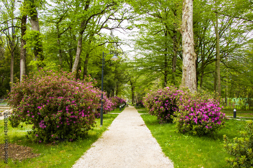 Garden and park  Zugdidi Botanic garden in Georgia.
