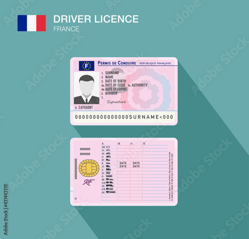 French car driver license identification. Flat vector illustration template. France.